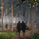 Image for article titled How 15 Anonymous Architects Envision the World's Next Great Museum